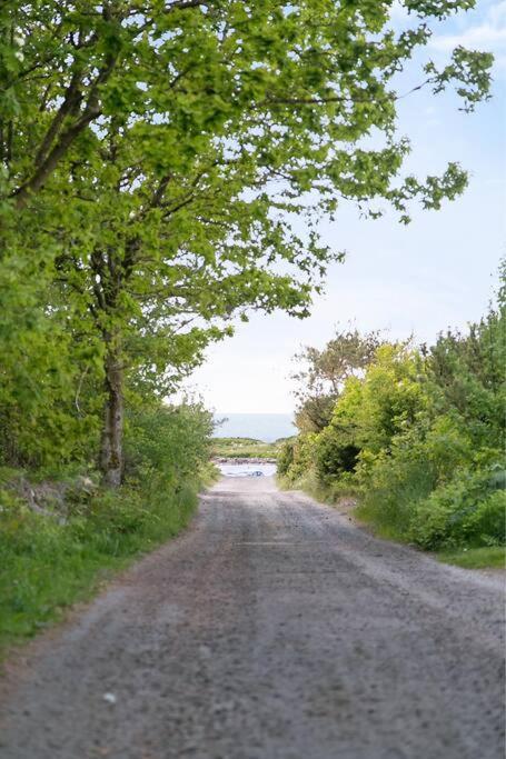 Cozy Cottage By The Sea South Of Varberg Traslovslage Екстер'єр фото